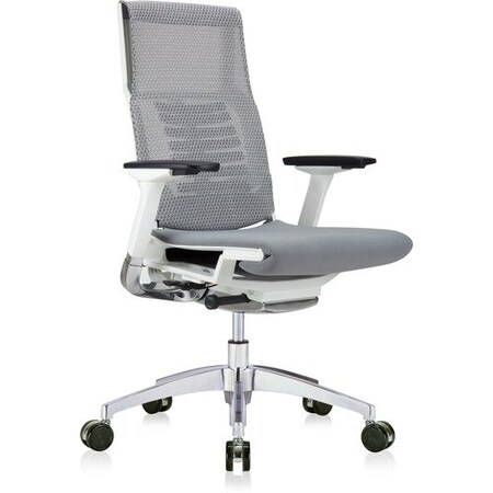 Eurotech - The Raynor Group POWERFIT CHAIR EUTPFT2WHTFSGRY